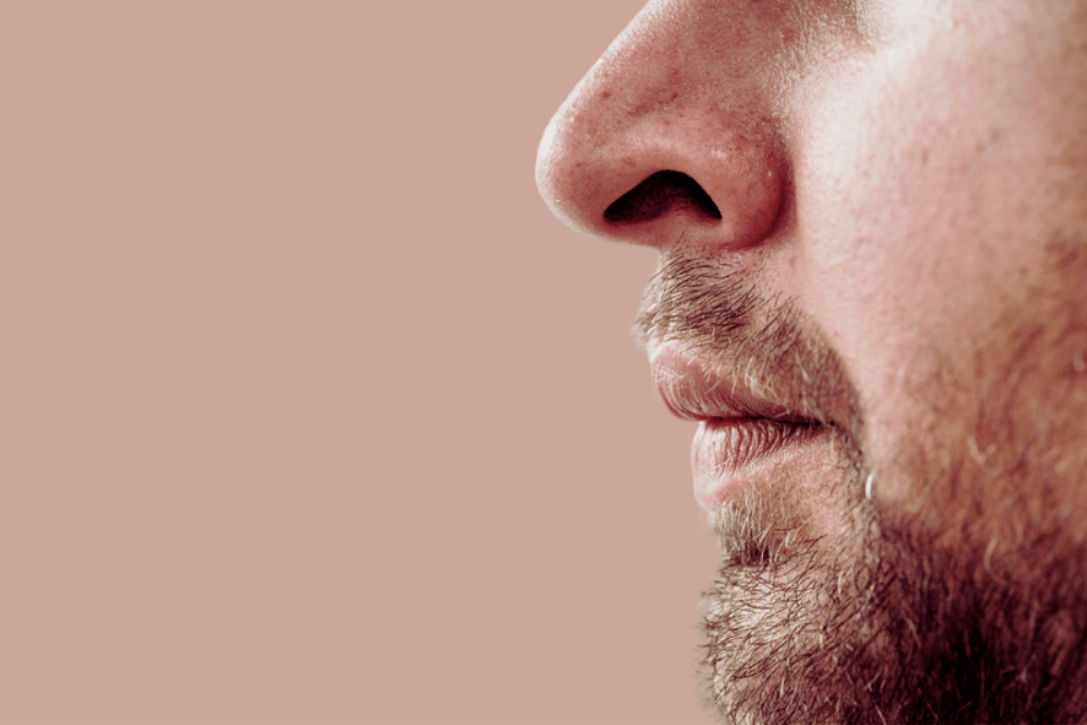 Rhinoplasty Cost in Northern Virginia